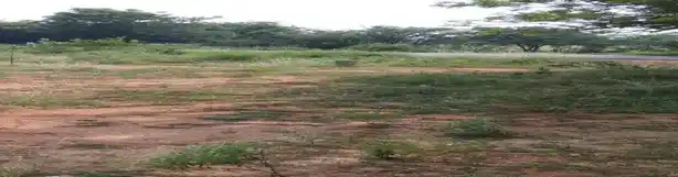 Arulmigu Kambalathar Malaikovil, Mallapuram - 624703 அருள்மிகு கம்பளத்தார் மாலைக்கோயில் –மல்லபுரம்,வேடசந்தூர்,திண்டுக்கல் கோயில், Mallapuram - 624703, Dindigul - Ancient Temple Architecture and History Image 4