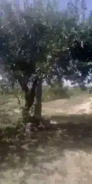 Arulmigu Kambamperumal Temple, In The Kanmay, Vadugapatti - 626607 அருள்மிகு கம்பப்பெருமாள் திருக்கோயில், கண்மாய் உள்ளே, வடுகபட்டி - 626607, Virudhunagar - Ancient Temple Architecture and History Image 3