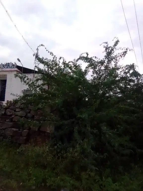 Arulmigu Kambaperumal Temple, Aadhanur - 621010 Arulmigu Kambaperumal Temple, Aadhanur - 621010, Thiruchirappalli - Ancient Temple Architecture and History Image 3