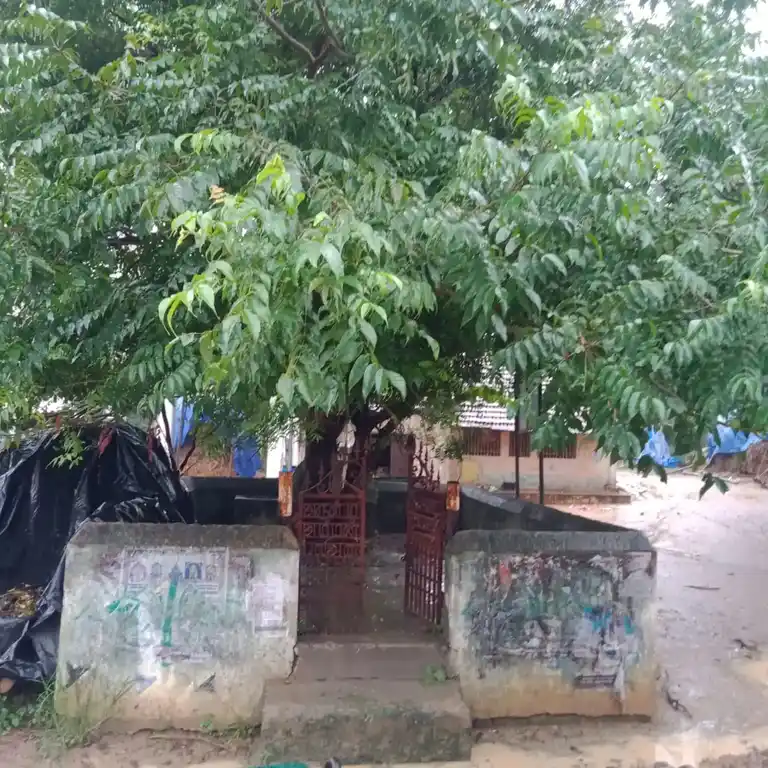 Arulmigu Kambaperumal Temple, Kasankottai - 621701 அருள்மிகு கம்பப்பெருமாள் திருக்கோயில், காசாங்கோட்டை - 621701, Ariyalur - Ancient Temple Architecture and History Image 2