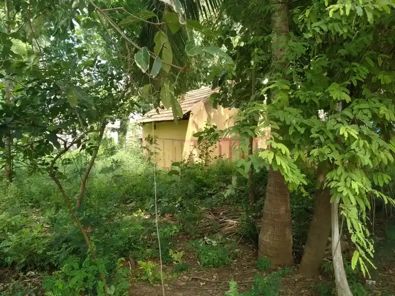 Arulmigu Kambaperumal Temple, Periyakuruchi - 621719 அருள்மிகு கம்பப்பெருமாள் திருக்கோயில்,  - 621719, Ariyalur - Ancient Temple Architecture and History Image 2