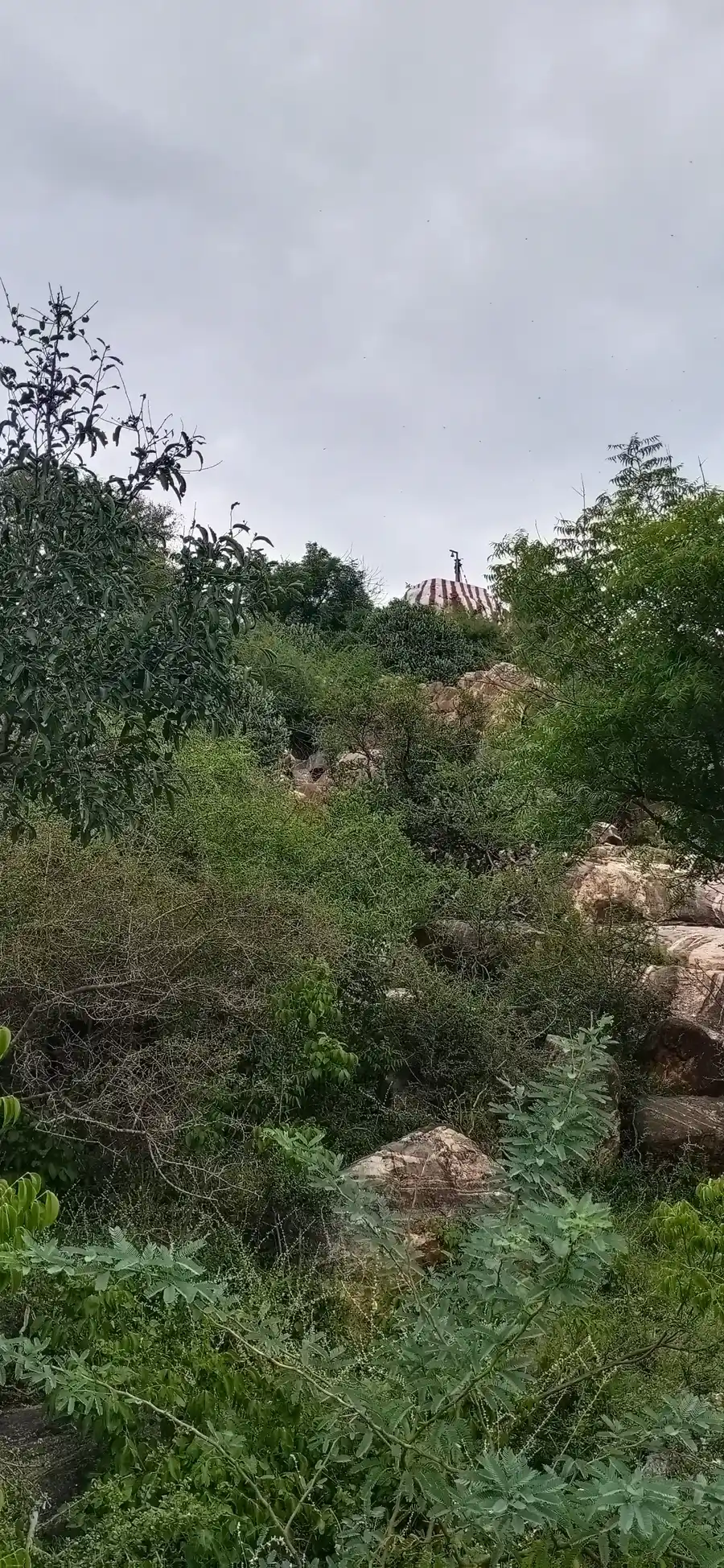 Arulmigu Kambaperumal Temple, Poonambalayam - 621009 Arulmigu Kambaperumal Temple, Poonambalayam - 621009, Thiruchirappalli - Ancient Temple Architecture and History Image 3