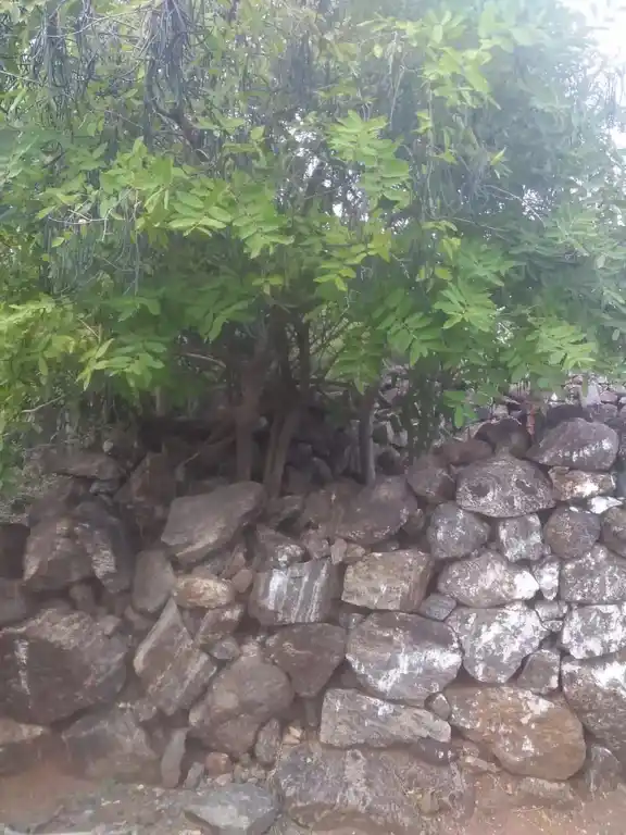 Arulmigu Kambaperumal Temple, Vadakuveli - 621010 Arulmigu Kambaperumal Temple, Vadakuveli, Vadakuveli - 621010, Thiruchirappalli - Ancient Temple Architecture and History Image 3