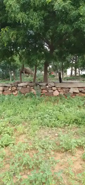 Arulmigu Kambarajapperumal Temple, Poolampatty - 639002 அருள்மிகு கம்பராஜப் பெருமாள் திருக்கோயில், Poolampatty - 639002, Karur - Ancient Temple Architecture and History Image 4