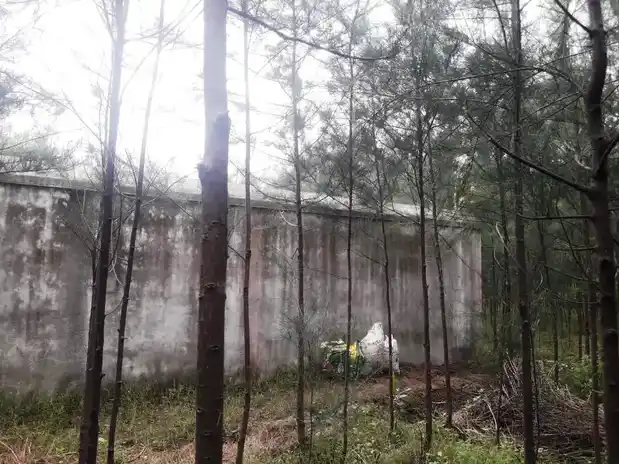 Arulmigu Kambarayaperumal Temple, Aanathur - 607101 அருள்மிகு கம்பராயப்பெருமாள் திருக்கோயில், Aanathur - 607101, Viluppuram - Ancient Temple Architecture and History Image 2