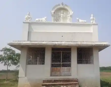 Arulmigu Kammavar Podhu Vinayagar Srinivasaperumal Temple, Street Center, Mela Nalanthula - 628552 அருள்மிகு கம்மாவர் பொது விநாயகர்என்ற சீனிவாச பெருமாள் திருக்கோயில், Street Center, மேல நாலந்துலா - 628552, Tenkasi - Ancient Temple Architecture and History Image 3