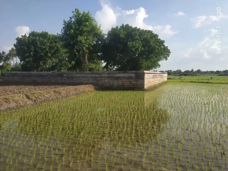 Arulmigu Kampaperumal Temple, Ayyalur - 621113 அருள்மிகு கம்பபெருமாள் திருக்கோயில், Ayyalur - 621113, Perambalur - Ancient Temple Architecture and History Image 4