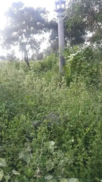 Arulmigu Kampaperumal Temple, Thambai - 621115
