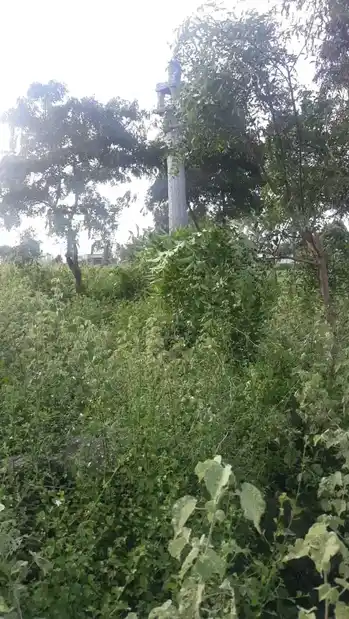 Arulmigu Kampaperumal Temple, Thambai - 621115 அருள்மிகு கம்பபெருமாள் திருக்கோயில், Thambai - 621115, Perambalur - Ancient Temple Architecture and History Image 2