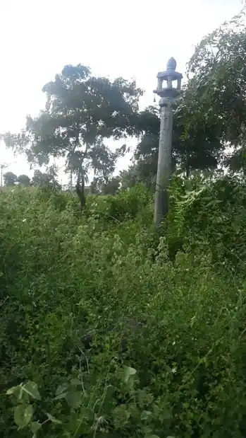 Arulmigu Kampaperumal Temple, Thambai - 621115 அருள்மிகு கம்பபெருமாள் திருக்கோயில், Thambai - 621115, Perambalur - Ancient Temple Architecture and History Image 3