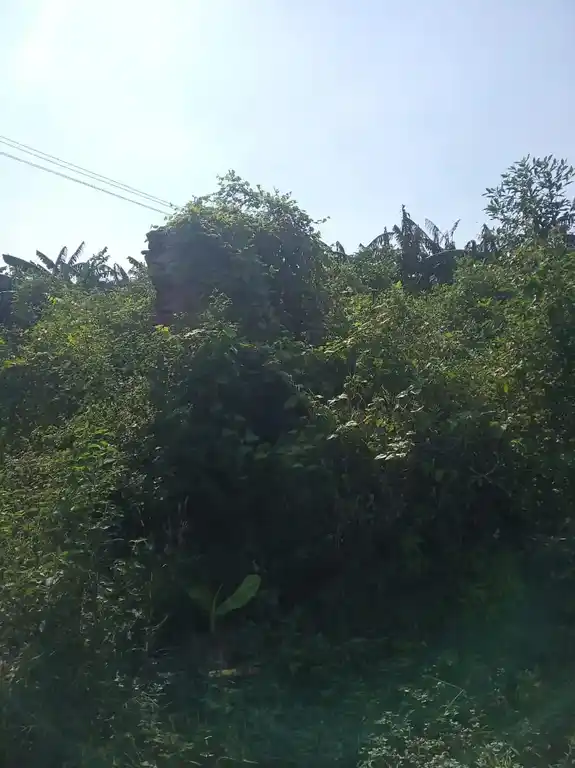 Arulmigu Kamparayapperumal Temple, Pullimankombai - 625536 அருள்மிகு கம்பராயப் பெருமாள் திருக்கோயில், Pullimankombai - 625536, Theni - Ancient Temple Architecture and History Image 4