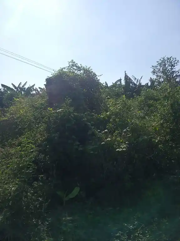 Arulmigu Kamparayapperumal Temple, Pullimankombai - 625536 அருள்மிகு கம்பராயப் பெருமாள் திருக்கோயில், Pullimankombai - 625536, Theni - Ancient Temple Architecture and History Image 8