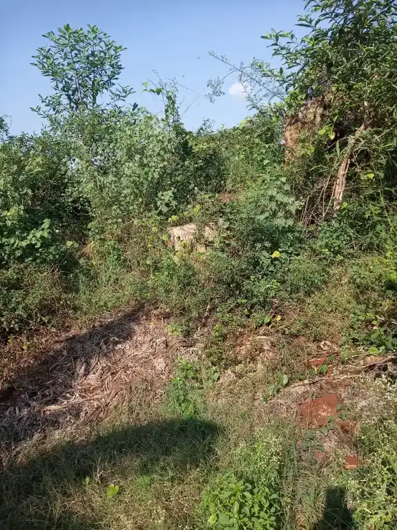 Arulmigu Kamparayapperumal Temple, Pullimankombai - 625536 அருள்மிகு கம்பராயப் பெருமாள் திருக்கோயில், Pullimankombai - 625536, Theni - Ancient Temple Architecture and History Image 9