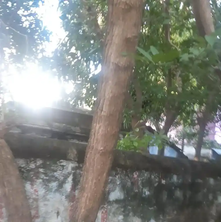 Arulmigu Kanagasabapathi Temple, Kakkamoor, Suchindrum - 629704 அருள்மிகு கனகசபாபதி திருக்கோயில், Kakkamoor, Suchindrum - 629704, Kanyakumari - Ancient Temple Architecture and History Image 5