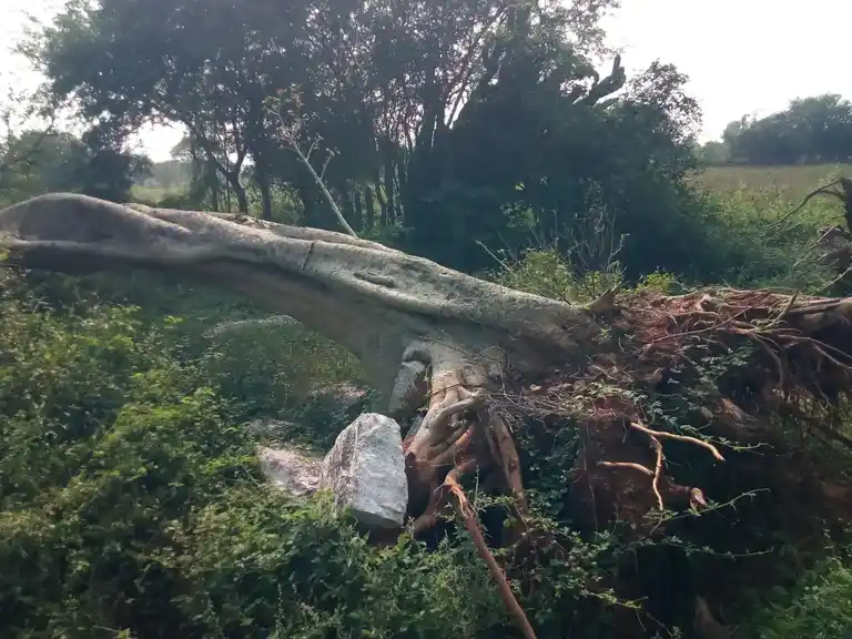 Arulmigu Kanakkampatti Vinayagar Temple, Kanakampatty - 624706 Temple