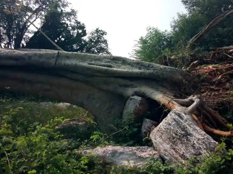 Arulmigu Kanakkampatti Vinayagar Temple, Kanakampatty - 624706 Arulmigu Kanakkampatti Vinayagar Temple, Kanakampatty - 624706, Dindigul - Ancient Temple Architecture and History Image 2