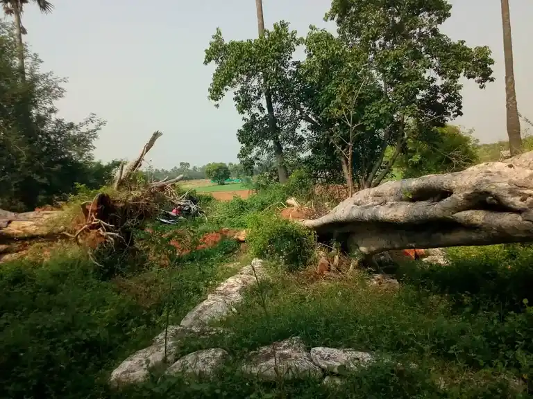 Arulmigu Kanakkampatti Vinayagar Temple, Kanakampatty - 624706 Arulmigu Kanakkampatti Vinayagar Temple, Kanakampatty - 624706, Dindigul - Ancient Temple Architecture and History Image 4