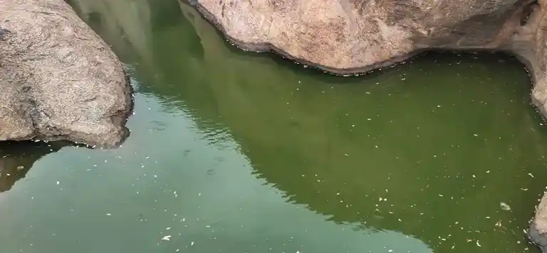 Arulmigu Kanchikuppam Perumal Temple, Pallavanaickenpatty, Pallavanaickenpatty - 636301 அருள்மிகு கஞ்சிக்குப்பம் பெருமாள் திருக்கோயில், Pallavanaickenpatty, Pallavanaickenpatty - 636301, Namakkal - Ancient Temple Architecture and History Image 7