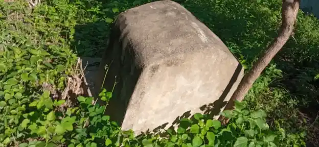 Arulmigu Kanigovill Temple, Eathuvampadi, - 606803 அருள்மிகு கன்னிக்கோயில், ஏந்துவாம்பாடி, போளூர் கோயில், Eathuvampadi, - 606803, Tiruvannamalai - Ancient Temple Architecture and History Image 3