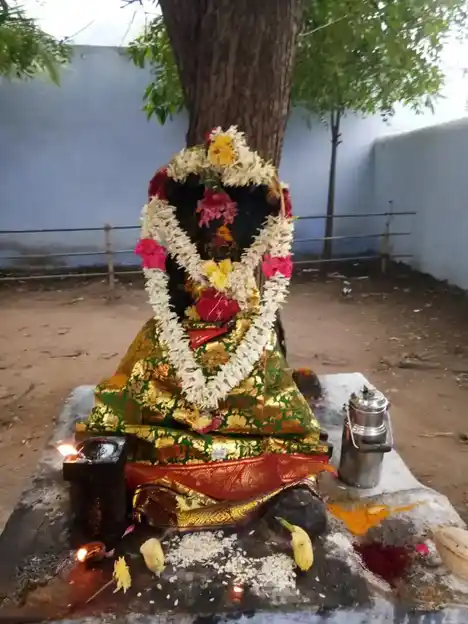 Arulmigu Kannadiaperumal Temple, Varthamana Nathi Dam, Palani - 624601 அருள்மிகு கண்ணாடிப்பெருமாள் கோயில், வர்த்தமான நதி அணை, Palani - 624601, Dindigul - Ancient Temple Architecture and History Image 6