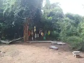 Arulmigu Kannanthayiyamman Temple, Ammankurichi - 622401 அருள்மிகு கண்ணந்தாயியம்மன் திருக்கோயில், Ammankurichi - 622401, Pudukkottai - Ancient Temple Architecture and History Image 3