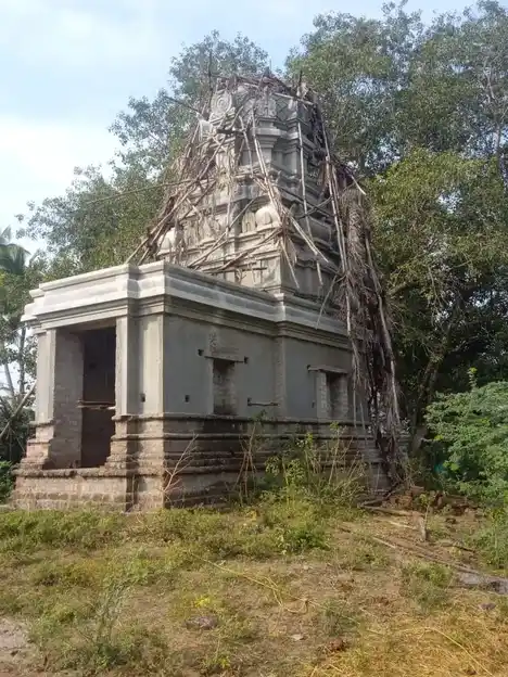 Arulmigu Kannapiran Engira Kaalinganarthana Perumal Temple, Pudhusorathur - 604205 அருள்மிகு கண்ணபிரான் என்கிற காளிங்கநர்த்தனப்பெருமாள் திருக்கோயில், Pudhusorathur - 604205, Viluppuram - Ancient Temple Architecture and History Image 4