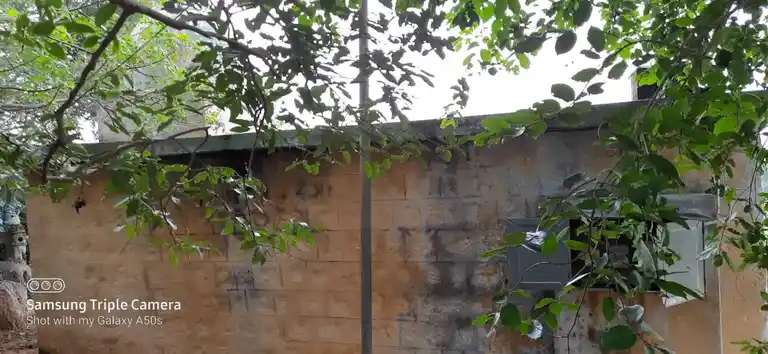 Arulmigu Kannappa Pandaram Madam, Karungalakkudi - 625101 அருள்மிகு கண்ணப்ப பண்டாரம் மடம், Karungalakkudi - 625101, Madurai - Ancient Temple Architecture and History Image 3