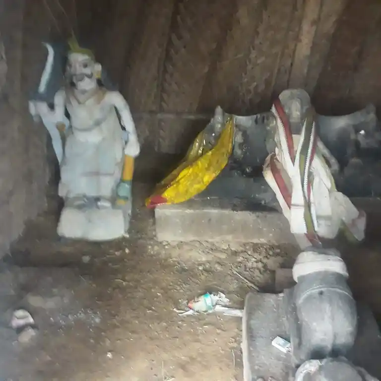 Arulmigu Kannayiramudaiya Temple, Naranamankalam - 623404