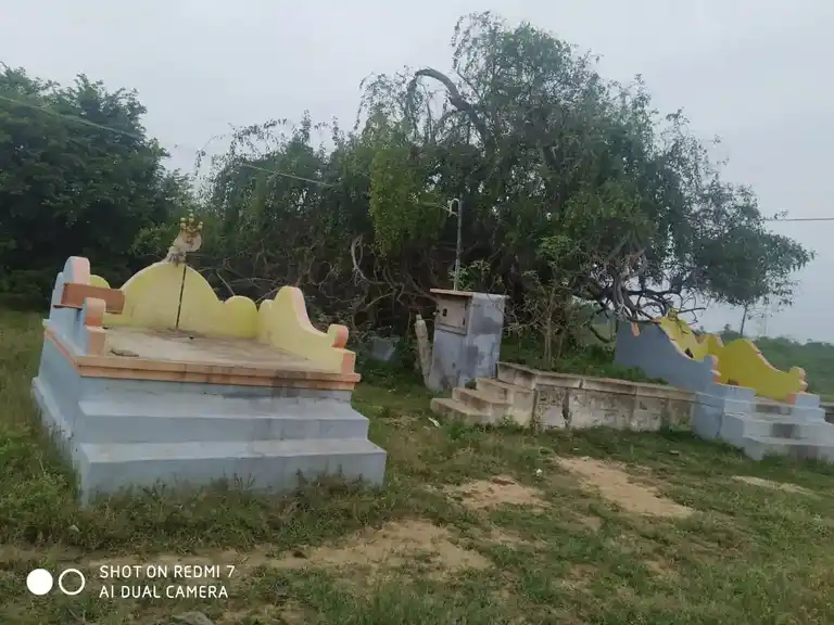 Arulmigu Kannayiramudaiyar Temple, Andakudi - 623707 அருள்மிகு. கண்ணாயிரமுடையார் திருக்கோயில், Andakudi - 623707, Sivagangai - Ancient Temple Architecture and History Image 2