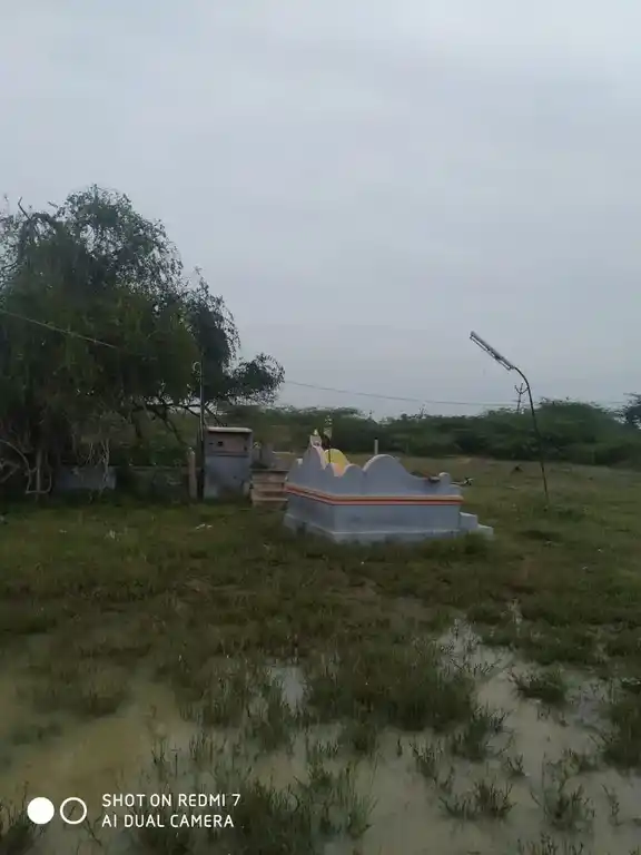 Arulmigu Kannayiramudaiyar Temple, Andakudi - 623707 அருள்மிகு. கண்ணாயிரமுடையார் திருக்கோயில், Andakudi - 623707, Sivagangai - Ancient Temple Architecture and History Image 3