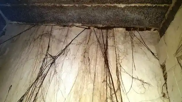 Arulmigu Kannayiramudayar Temple, Gurumanakkudi - 609117 அருள்மிகு கண்ணாயிரமுடையார் ஆலயம், Gurumanakkudi - 609117, Mayiladuthurai - Ancient Temple Architecture and History Image 2