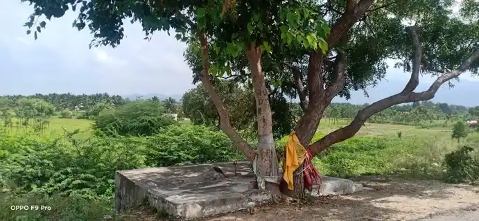 Arulmigu Kanni Mariyamman Temple, Adhiyamankottai - 636807 அருள்மிகு கன்னி மாரியம்மன் திருக்கோவில், அதியமான்கோட்டை - 636807, Dharmapuri - Ancient Temple Architecture and History Image 4