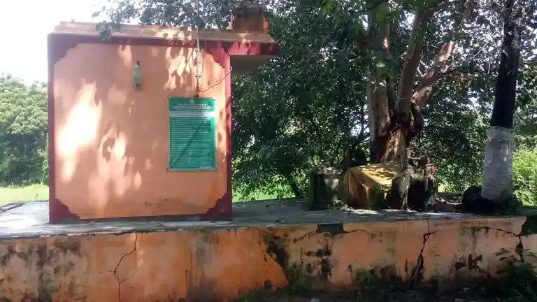 Arulmigu Kanniamman Temple, Pariikkupattu - 601204 அருள்மிகு கன்னியம்மன் திருக்கோயில், பரிக்குப்பட்டு - 601204, Tiruvallur - Ancient Temple Architecture and History Image 4