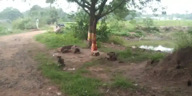 Arulmigu Kanniamman Temple, Vandurayanpattu - 608702 அருள்மிகு கன்னியம்மன் திருக்கோயில், Vandurayanpattu - 608702, Cuddalore - Ancient Temple Architecture and History Image 3