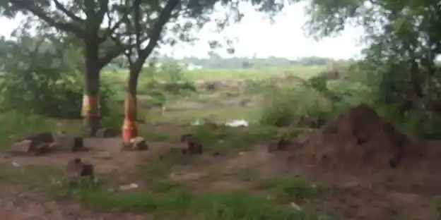 Arulmigu Kanniamman Temple, Vandurayanpattu - 608702 அருள்மிகு கன்னியம்மன் திருக்கோயில், Vandurayanpattu - 608702, Cuddalore - Ancient Temple Architecture and History Image 4