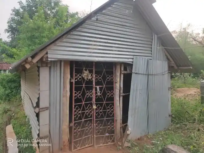 Arulmigu Kanniamman Temple, Veeranadhapuram - 608301 Temple