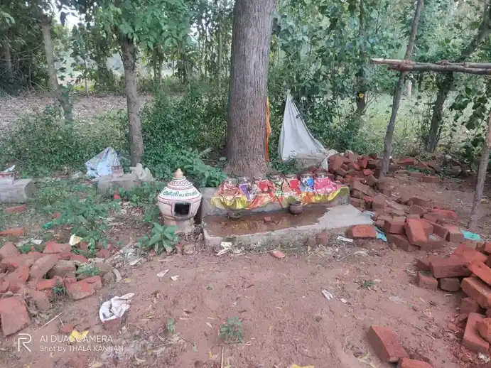 Arulmigu Kanniamman Temple, Veeranadhapuram - 608301 அருள்மிகு கண்ணியம்மன் திருக்கோயில், Veeranadhapuram - 608301, Cuddalore - Ancient Temple Architecture and History Image 3