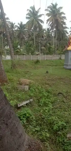 Arulmigu Kanniamman Temple, Vettaikaranputur - 642129 அருள்மிகு கன்னியம்மன் திருக்கோயில், வேட்டைக்காரன்புதூர் - 642129, Coimbatore - Ancient Temple Architecture and History Image 2