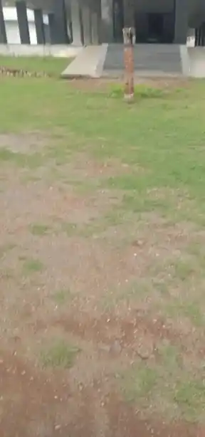 Arulmigu Kanniamman Temple, Vettaikaranputur - 642129 அருள்மிகு கன்னியம்மன் திருக்கோயில், வேட்டைக்காரன்புதூர் - 642129, Coimbatore - Ancient Temple Architecture and History Image 4