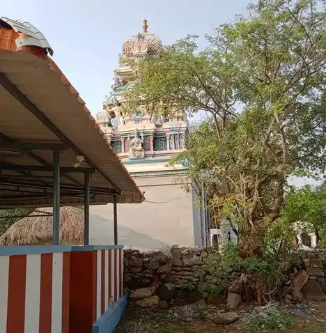 Arulmigu Kanniappasamy Temple, A.Mettupalayam - 641653 அருள்மிகு கானியப்பசுவாமி திருக்கோயில், A.Mettupalayam - 641653, Coimbatore - Ancient Temple Architecture and History Image 3