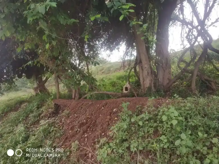 Arulmigu Kannimaar Amman Temple, Servaikaranpatti - 624620 அருள்மிகு கன்னிமார் அம்மன் திருக்கோயில், சேர்வைகாரன்பட்டி - 624620, Dindigul - Ancient Temple Architecture and History Image 3