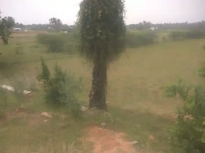 Arulmigu Kannimaar Aruviamman Temple, Arasakavundapatti - 624005