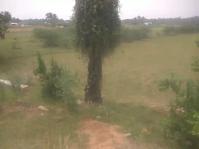 Arulmigu Kannimaar Aruviamman Temple, Arasakavundapatti - 624005 அருள்மிகு கன்னிமார், ஆஷிளியம்மன் கோயில், Arasakavundapatti - 624005, Dindigul - Ancient Temple Architecture and History Image 3