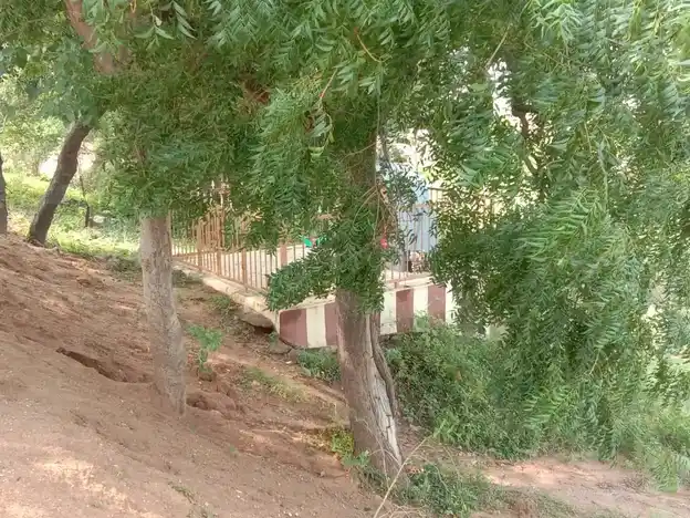 Arulmigu Kannimaar Temple, Chinnaluppai - 624703 அருள்மிகு கன்னிமார் திருக்கோயில், Chinnaluppai - 624703, Dindigul - Ancient Temple Architecture and History Image 4