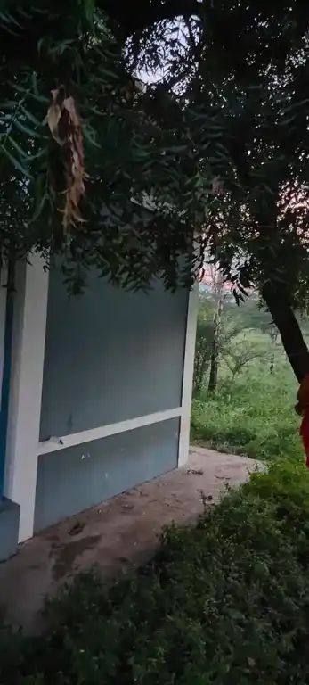 Arulmigu Kannimaar Temple, Ellaipatti - 624712