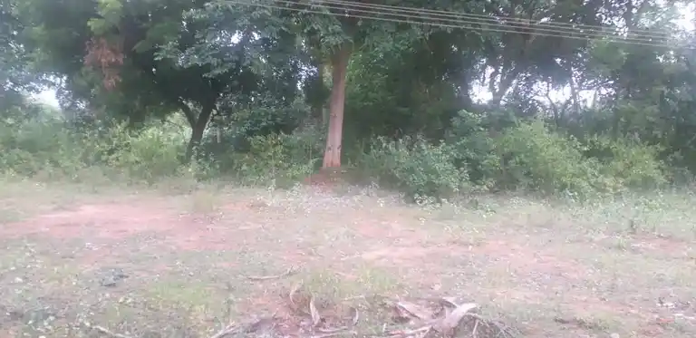 Arulmigu Kannimaar Temple, Emakalapuram - 624304 Temple