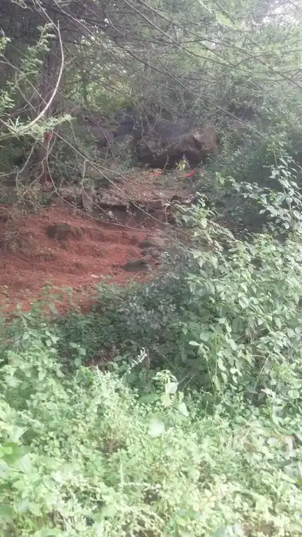 Arulmigu Kannimaar Temple, Emakalapuram - 624304 அருள்மிகு கன்னிமார் திருக்கோயில், Emakalapuram - 624304, Dindigul - Ancient Temple Architecture and History Image 11