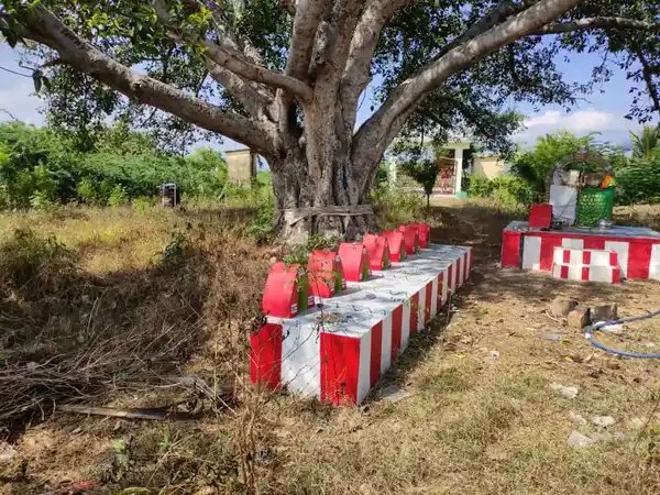 Arulmigu Kannimaar Temple, Kalladipatti - 624201 அருள்மிகு கன்னிமார் திருக்கோயில், Kalladipatti - 624201, Dindigul - Ancient Temple Architecture and History Image 4