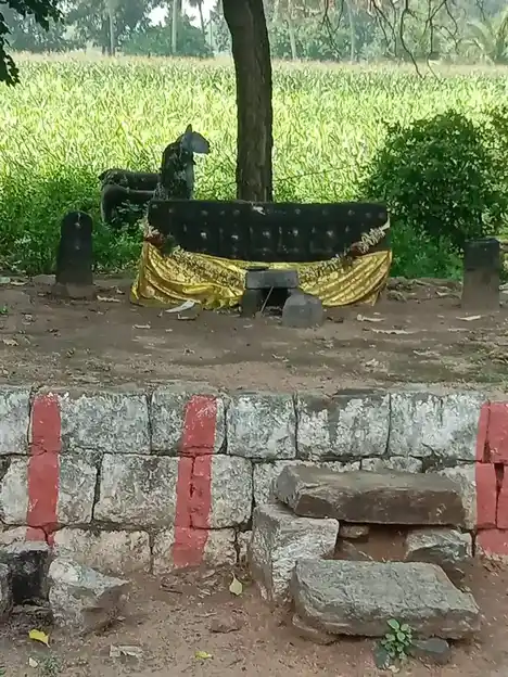 Arulmigu Kannimaar Temple, Kasavanampatti - 624705 அருள்மிகு கன்னிமார் திருக்கோயில், Kasavanampatti - 624705, Dindigul - Ancient Temple Architecture and History Image 2