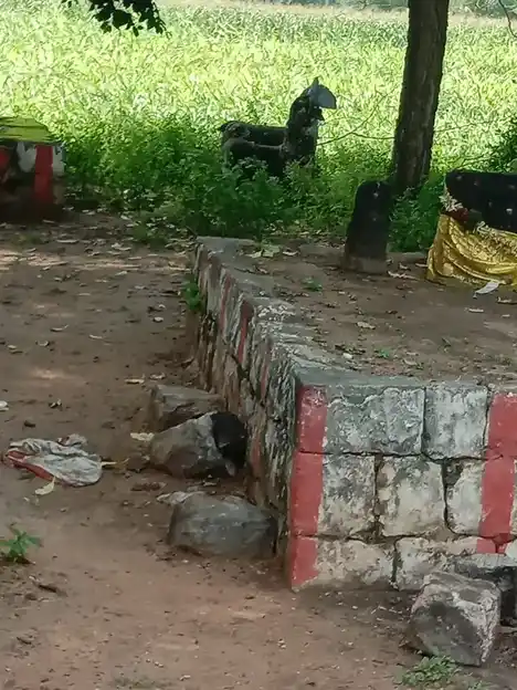 Arulmigu Kannimaar Temple, Kasavanampatti - 624705 அருள்மிகு கன்னிமார் திருக்கோயில், Kasavanampatti - 624705, Dindigul - Ancient Temple Architecture and History Image 4